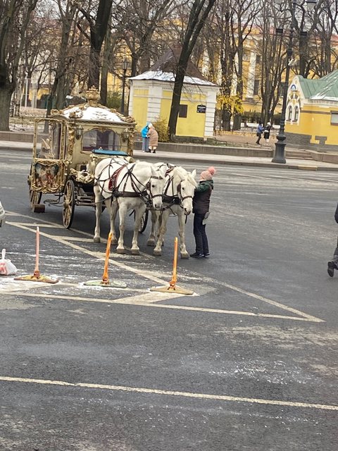 Сутки в городе с классом, фото 6